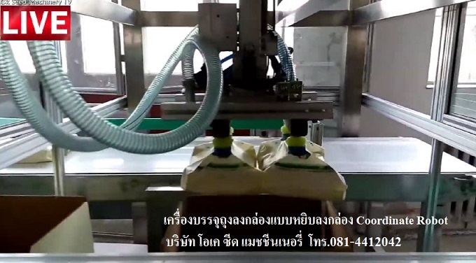 จำหน่ายเครื่องบรรจุสินค้าลงกล่อง แบบหยิบลงกล่อง Cordinated Robot Packing Machine.